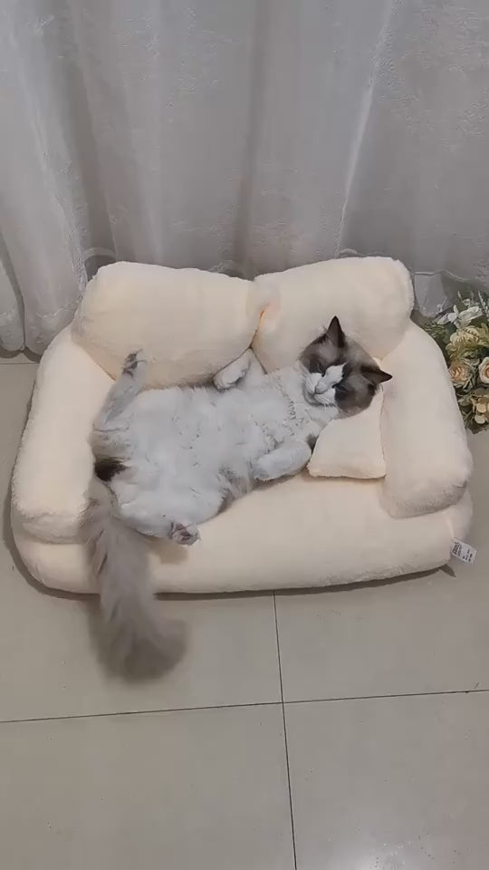 Cuccia sofa comfort cane & gatto
